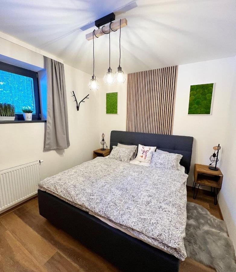 U Jelena Harrachov - Rodinny Apartman U Lesa S Garazi Bagian luar foto