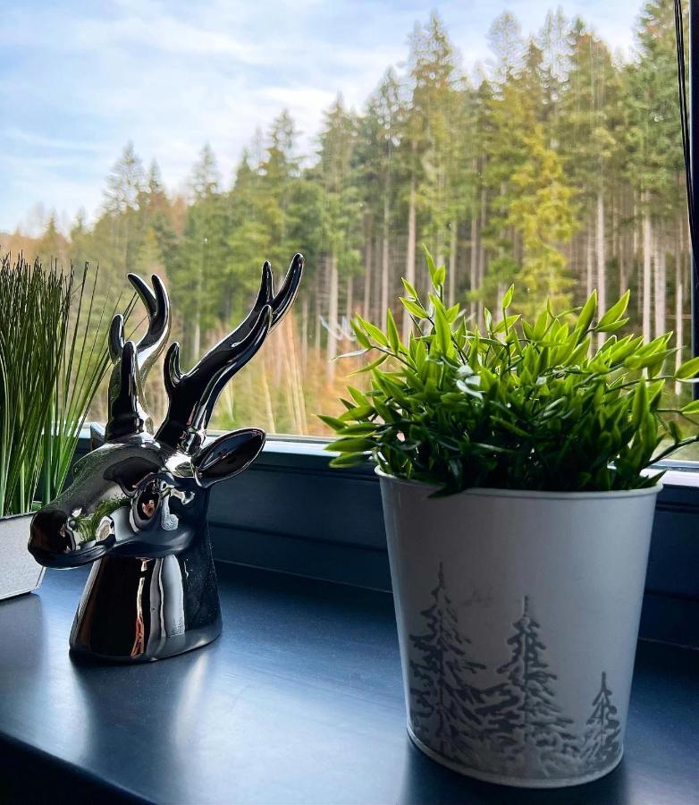 U Jelena Harrachov - Rodinny Apartman U Lesa S Garazi Bagian luar foto
